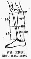 地經穴|醫砭 » 經穴庫 » 地機